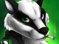 1323391226.curiodraco_roaddoggcr.jpg